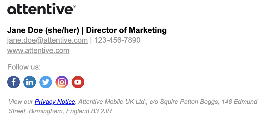 A signature with a wordmark logo on top, name, pronouns, and title on one line, email and phone, website, a Follow us row of five social icons, and a privacy notice